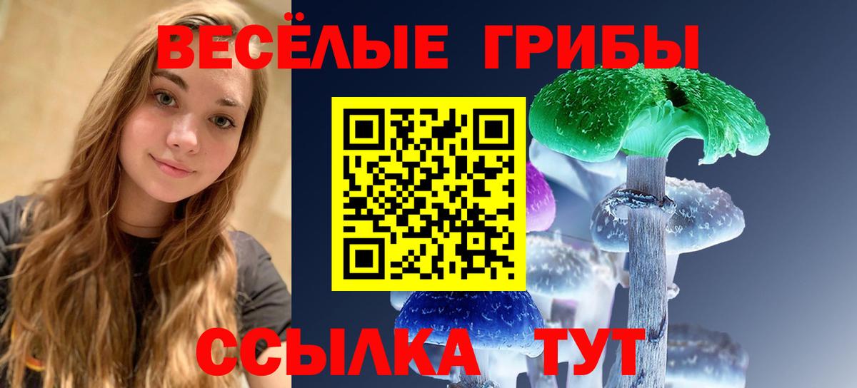 где купить   Вход с VPN  Лениногорск  Псилоцибиновые грибы GOLDEN TEACHER 
